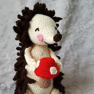 CROCHET PATTERN ONLY Boots the Hedgehog image 2