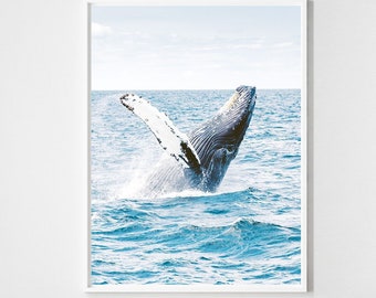 Get Ocean decor ideer Free