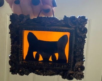 Small framed glass painted cat eyes