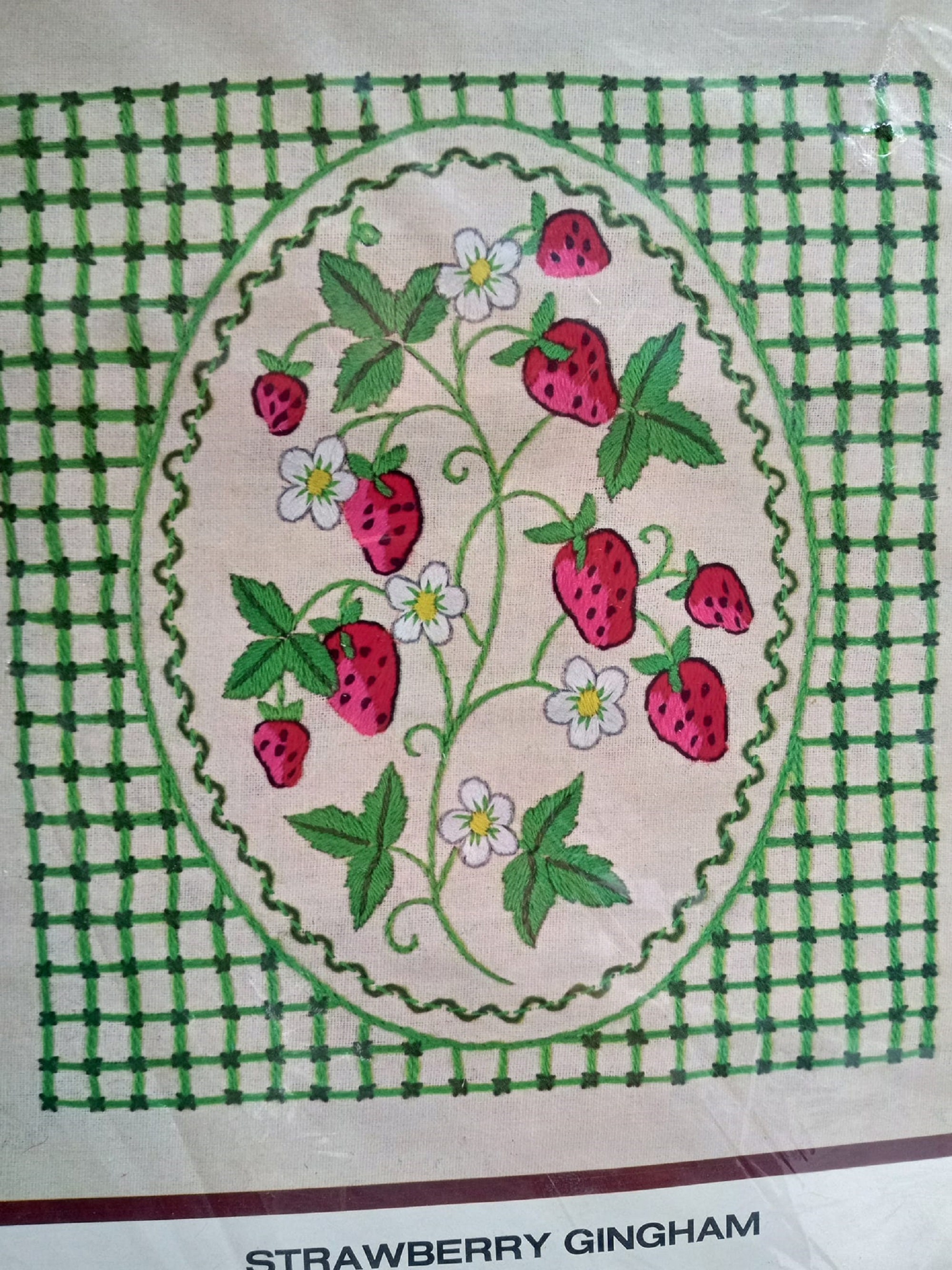 1973 NOS Unused Unopened Family Circle Spring Floral Fruit Decor Vtg Crewel Kit Strawberry Gingham Picture or Pillow Top