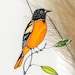 see more listings in the BIRDS section