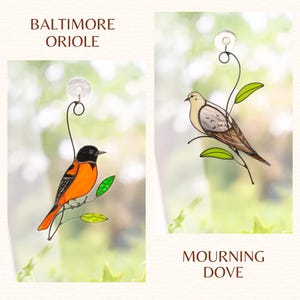 Collection of stained glass suncatchers with colorful birds and butterfly, each displayed against a soft, nature-inspired background with labeled species names.