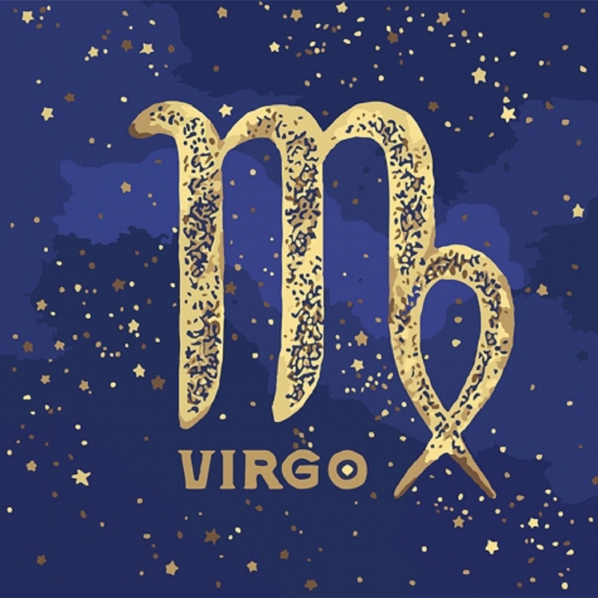 Paint by number kit.Zodiac VIRGO 19.7x Etsy