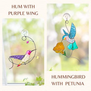 Collection of stained glass suncatchers with colorful birds and butterfly, each displayed against a soft, nature-inspired background with labeled species names.