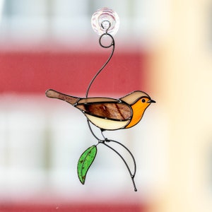 Robin bird, sitting on the wire branch with green leaf