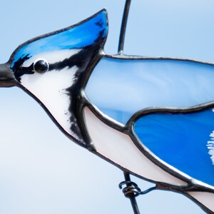 Hannd-paited stained glass Blue Jay