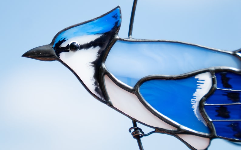 Hannd-paited stained glass Blue Jay