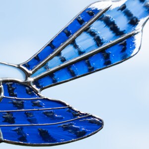 Stained Glass Blue Jay Hand-painted Tail