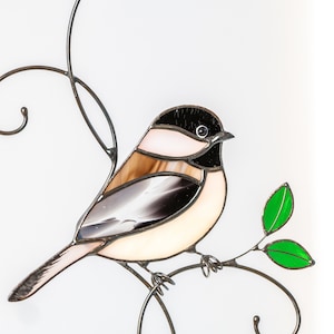 Detailed chikadee lightcatcher