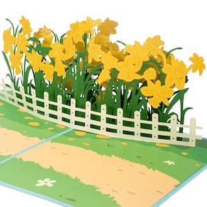 Paper Love Daffodil Pop-Up Card, Garden 3D Popup Greeting Cards, for Mothers Day, Spring, Fathers Birthday Anniversary, Thank You, Get Well