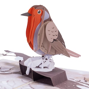 Paper Love Robin 3D Pop Up Card, Gift for Winter, Christmas or Holidays - 5&quot; x 7&quot; Cover with Envelope and Note Tag