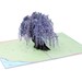 Paper Love Wisteria Pop Up Card, 3D Popup Greeting Cards, for Mothers Day, Spring, Fathers Day, Graduation, Birthday, Wedding, Anniversary, 