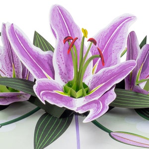 Paper Love Lilies 3D Pop Up Card, For Birthday, Love, Get Well Soon, Thank You, All Occasions - 5&quot; x 7&quot; Cover with Envelope and Note Tag