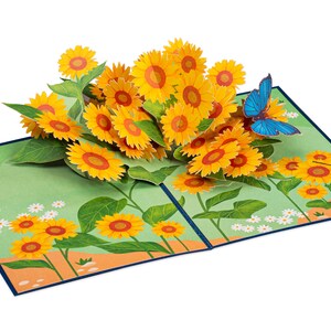 Cyclng Bke Pop Up 3D Card Specal Occason Hobby Fun | Etsy UK - View #10