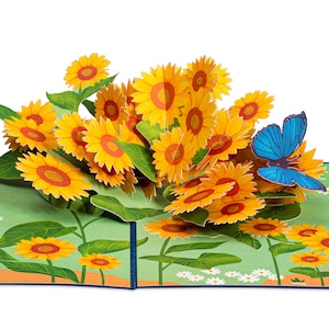 Cyclng Bke Pop Up 3D Card Specal Occason Hobby Fun | Etsy UK - View #11