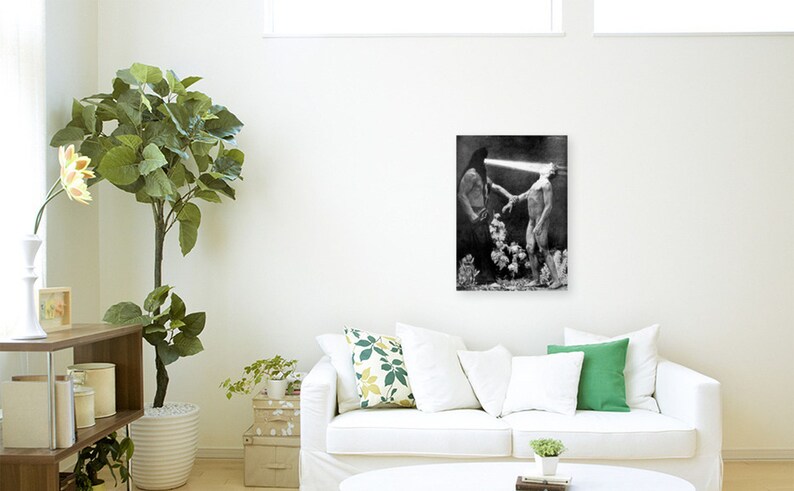 Anatomie Lehrtafel Dermatome – 50x70cm Mit Aufhänger