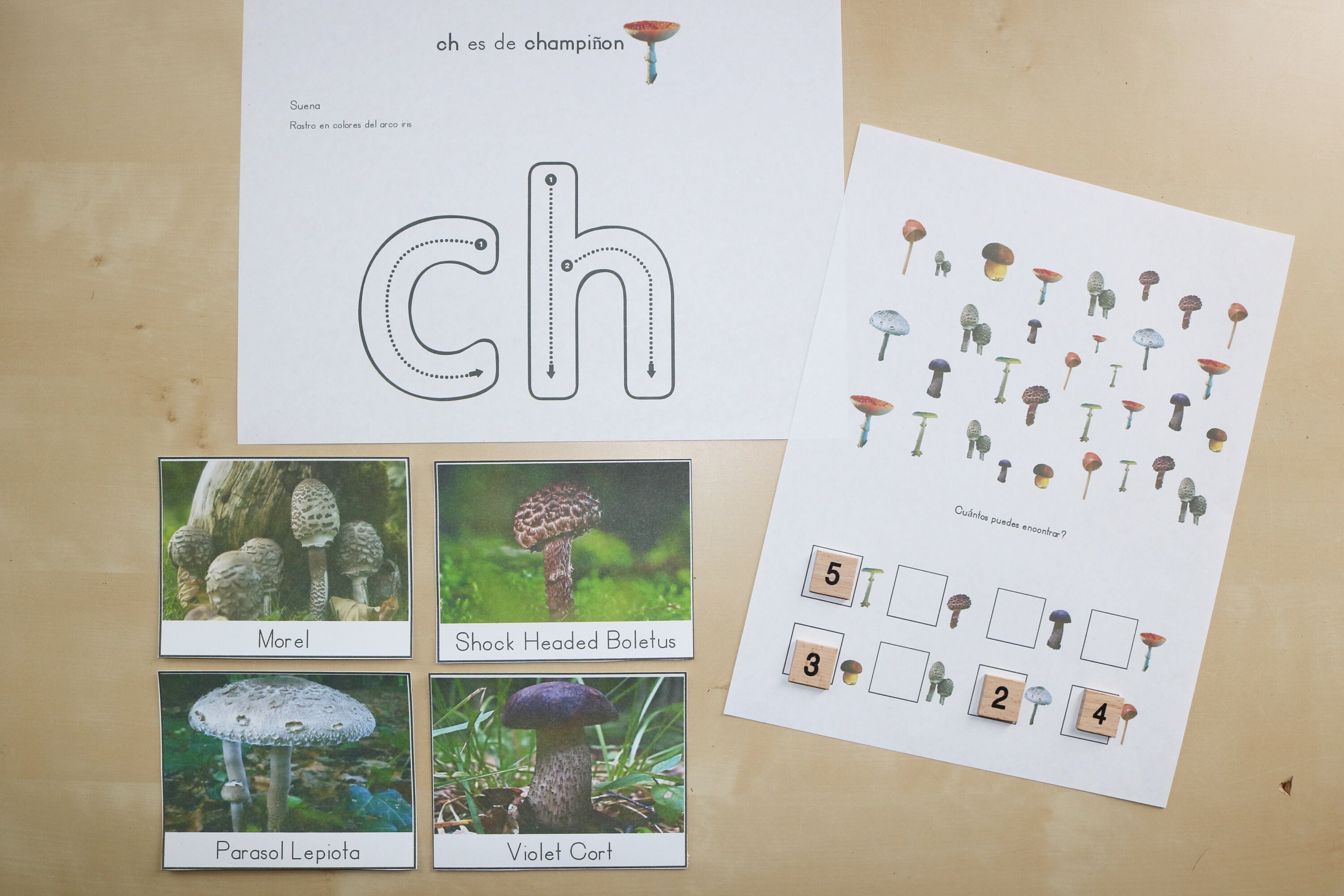 Ch Spanish Alphabet Letter and Mushroom Preschool Pack Etsy