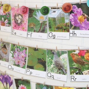 Spring Alphabet Flashcards