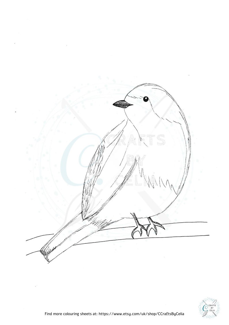 Download Robin bird coloring page for children digital download | Etsy