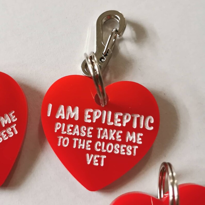 Medical Alert Pet Tags CUSTOM Epilepsy Diabetic Medication Etsy