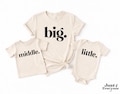 Big Middle Little Sibling Shirts Set, Matching Brother Sister Outfits, Kids Family Shirts, Cute Siblings Gift product logo