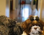Dogs Pets Dress, dogs pets Halloween costume, pets party dress, dogs pets Black dress