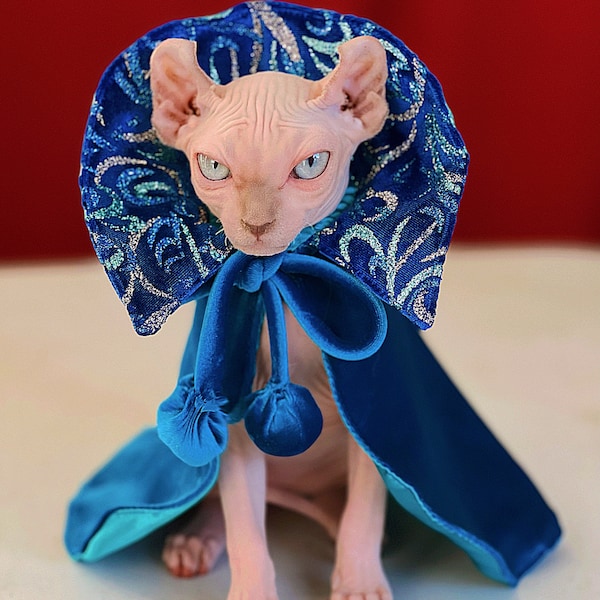 Cats Halloween capes Sphynx’s cat Dracula cape for all cats and dogs.  Halloween cape for pets