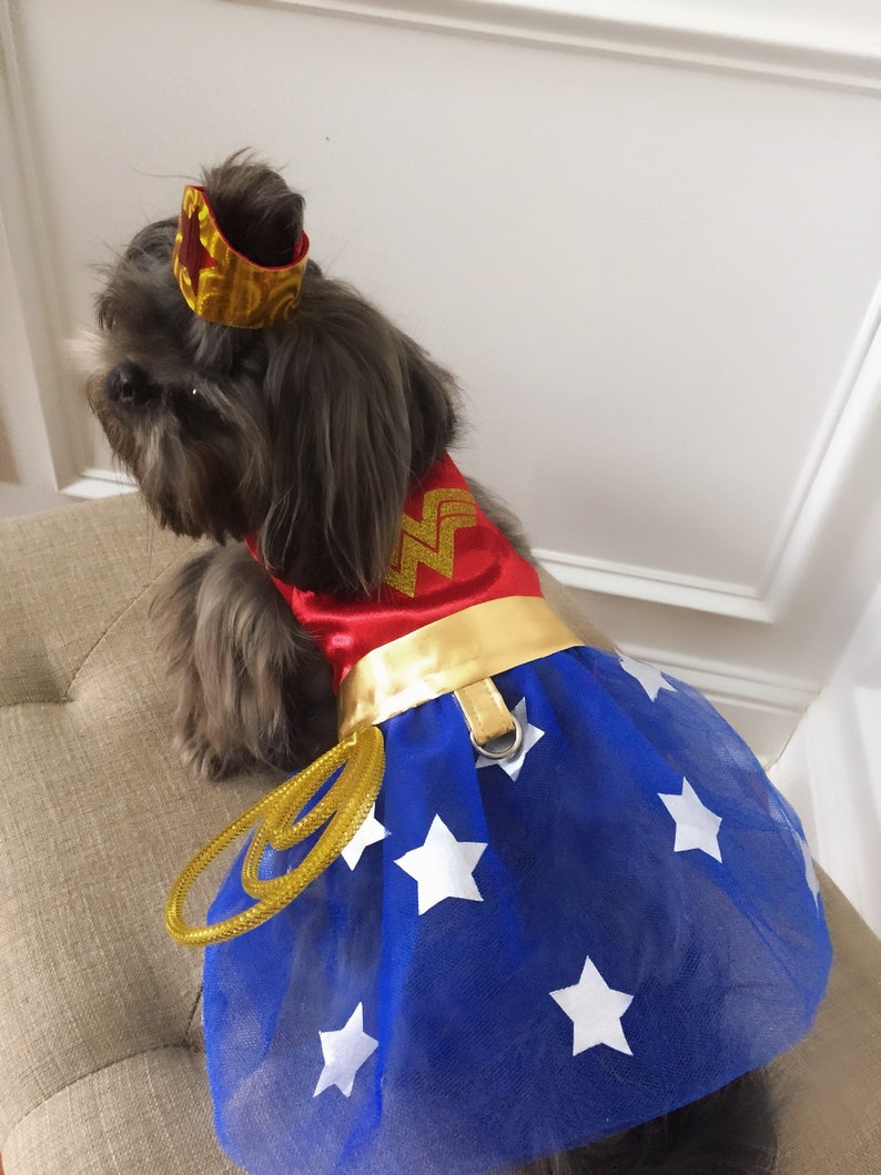Pet Halloween Costume Pet Wonder Woman Costume Puppy Dress up Etsy
