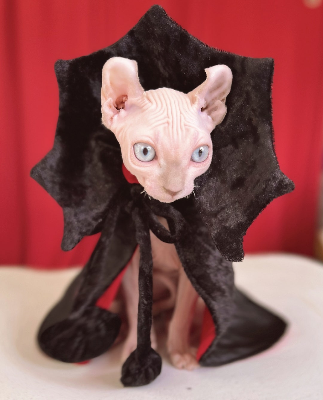 Cats Halloween Capes Sphynxs Cat Dracula Cape Dogs Halloween Cape Etsy