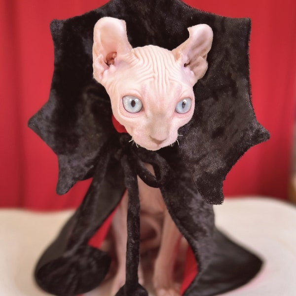 Cats Halloween capes Sphynx’s cat Dracula cape dogs Halloween cape