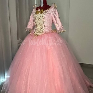 The Princess and the Pauper Anneliese Cosplay Costume original design deluxe ball gown made to order