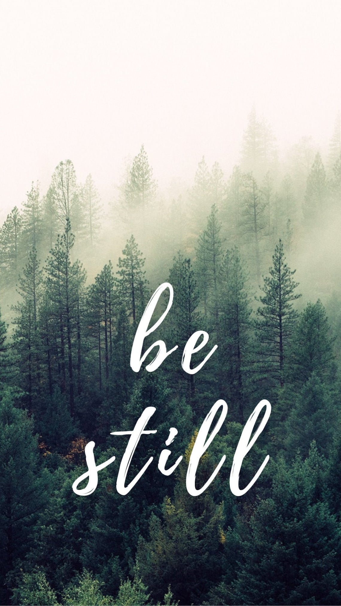 Be Still Forest Phone background wallpaper be still wallpaper | Etsy