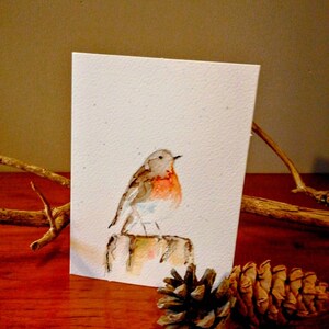 A beautifully Unique Christmas robin, Hand Painted in Devon