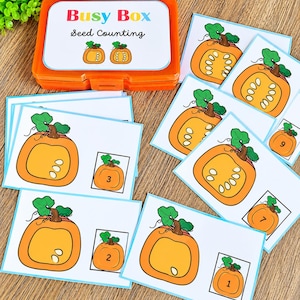 May include: An orange plastic storage box labeled Busy Box Seed Counting with a pumpkin illustration, accompanied by several white rectangular cards featuring illustrations of pumpkins with varying numbers of seeds and corresponding numerals.
