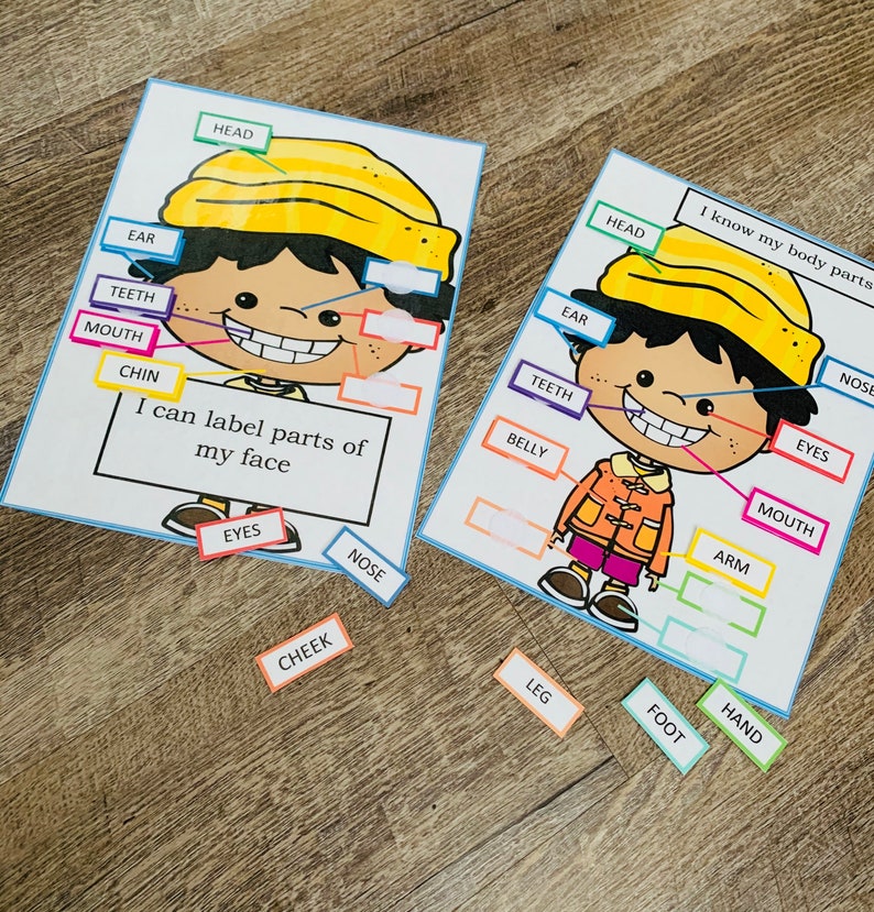 Anatomy Game Body Preschool Activity About Me Science Game Etsy