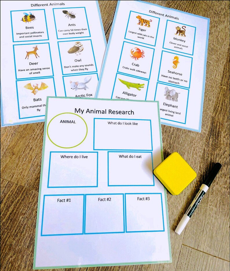 Third Grade Busy Binder, 3rd Grade Educational Games, 3rd Grade