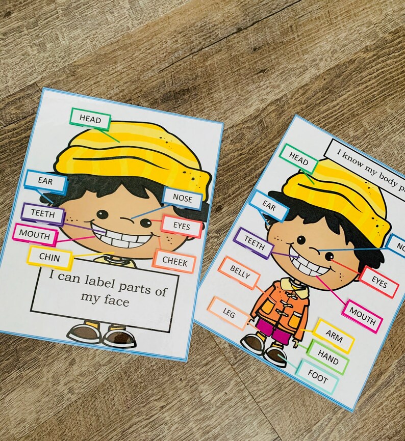 Anatomy Game Body Preschool Activity About Me Science Game Etsy