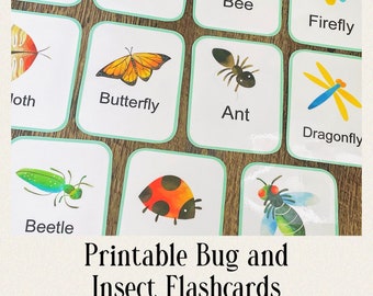 Insect and Bug Learning Game, Homeschool Printable, Flashcards and Matching Printable Game