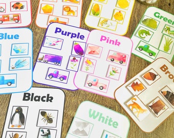 Color Matching and Sorting Game