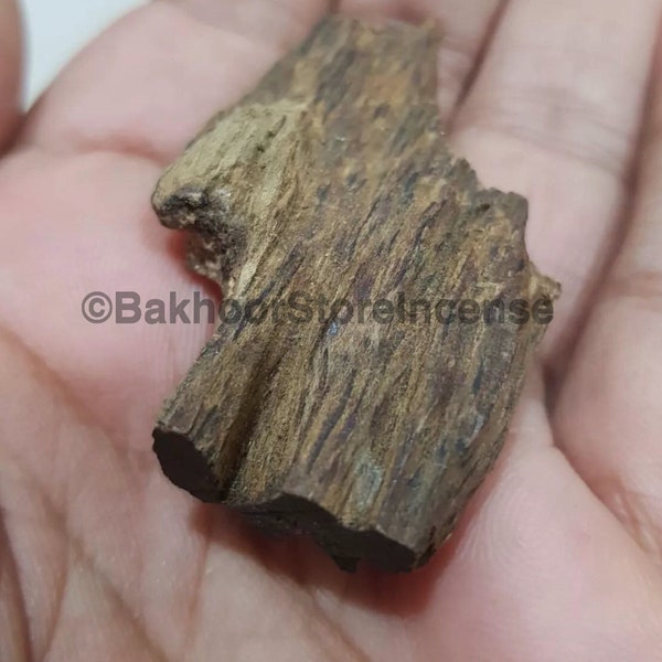 Nagaland Kalakassi Vintage 50 Year Old Agarwood - Pure wild Jinkoh Oud by BakhoorStoreIncense