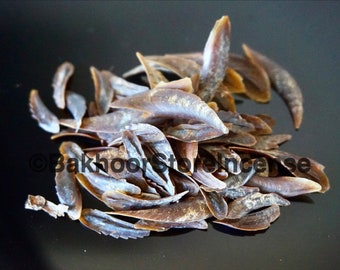 Grade A Operculum Onycha Shells: Natural Musk Incense Ingredient