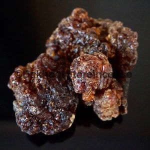 Yemeni Myrrh-Supreme wild-Grade AA++Premium