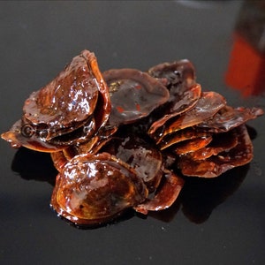 Bakhoor Incense Onycha (new batch) Hygiene incense, Dukhoon, Noni
