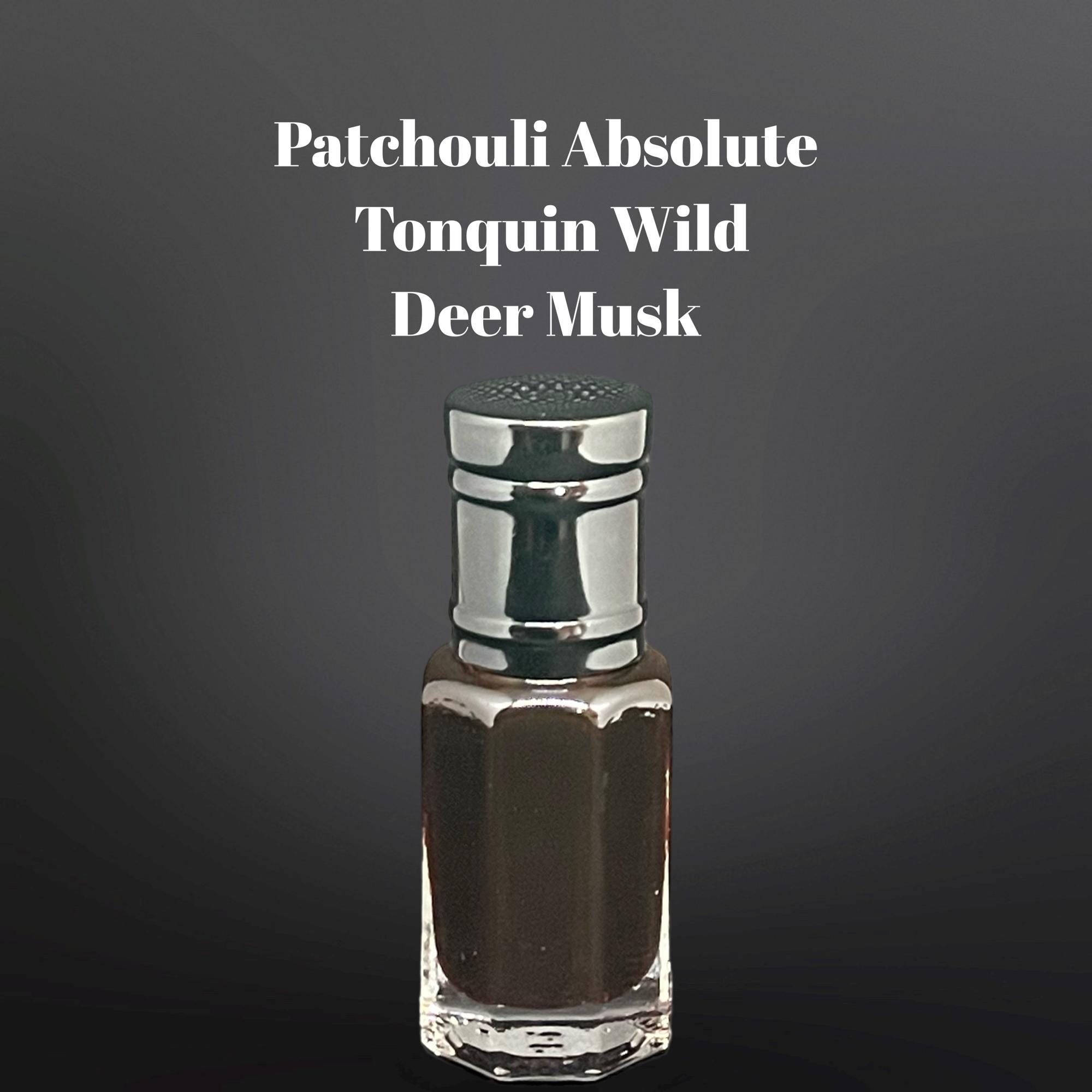 Deer musk 麝香 ムスク 動物學家- 麝香鹿