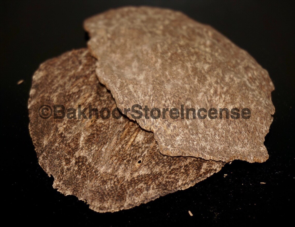 Wild Indian Char Agarwood Chips Hindi AA Chips Indian Etsy UK