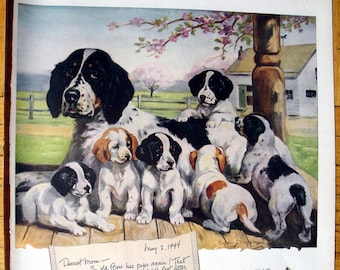1944 English Setter With Puppies -Sergeant Dog Original 13.5 * 10.5 Magazine Ad-Pet Food