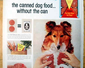 1964 Collie Dog New Gaines Burgers Dog Food Original 13.5 * 10.5 Magazine Ad