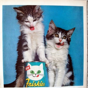 Friskies 13.5 oz cans top