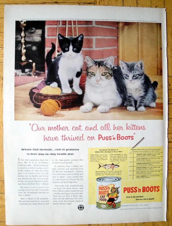 ad cat food