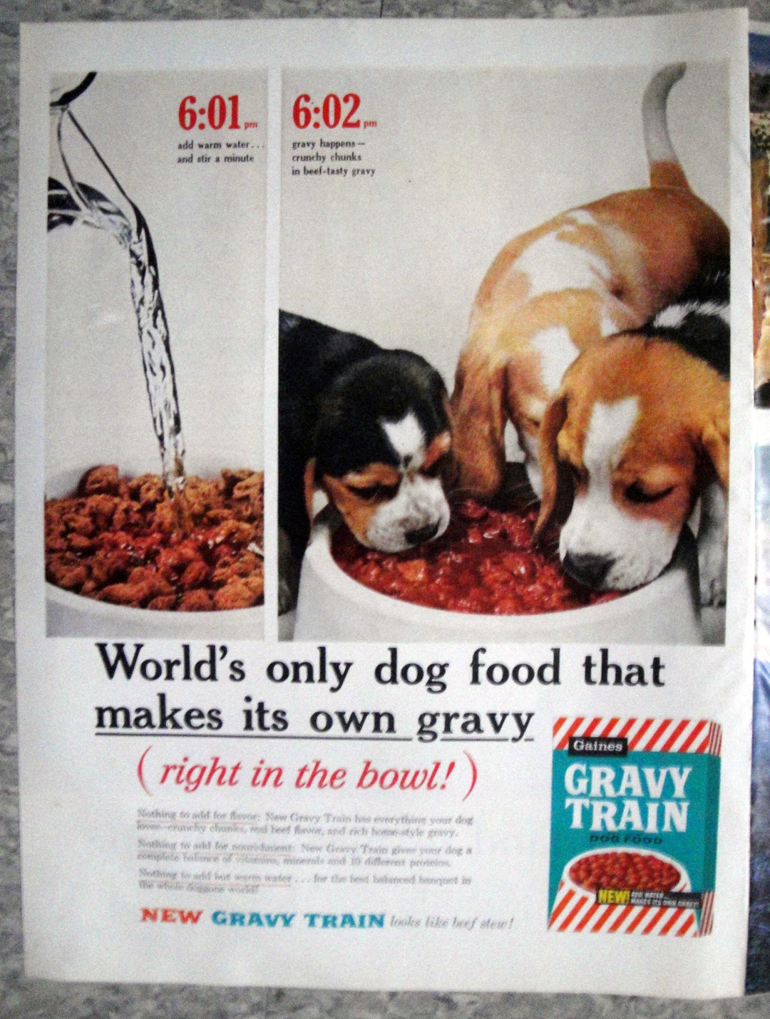 1961 Beagle Puppies Gravy Train Dog Food Original 13.5 10.5 Magazine Ad Etsy
